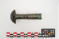 Foto von Bronzeortband (NHMW-PRAE-025457)